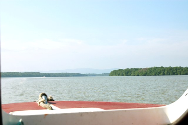 DSC_4215.JPG